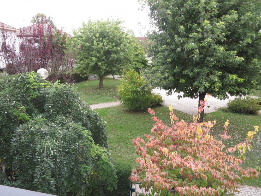 foto_zancop_2