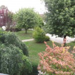 foto_zancop_2