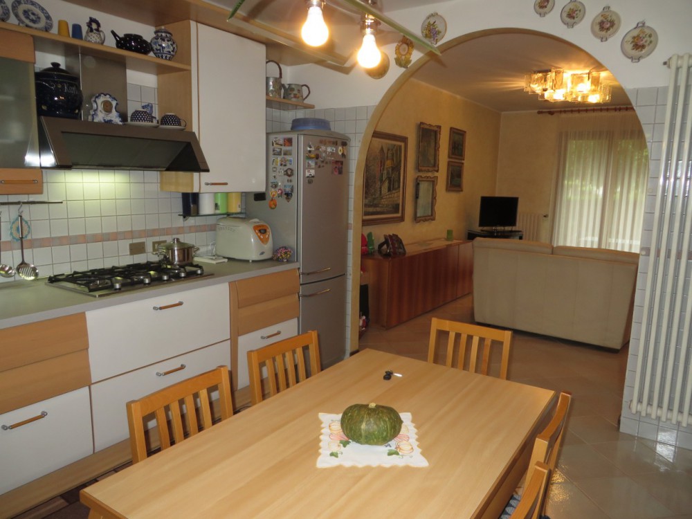 foto_zancop_36