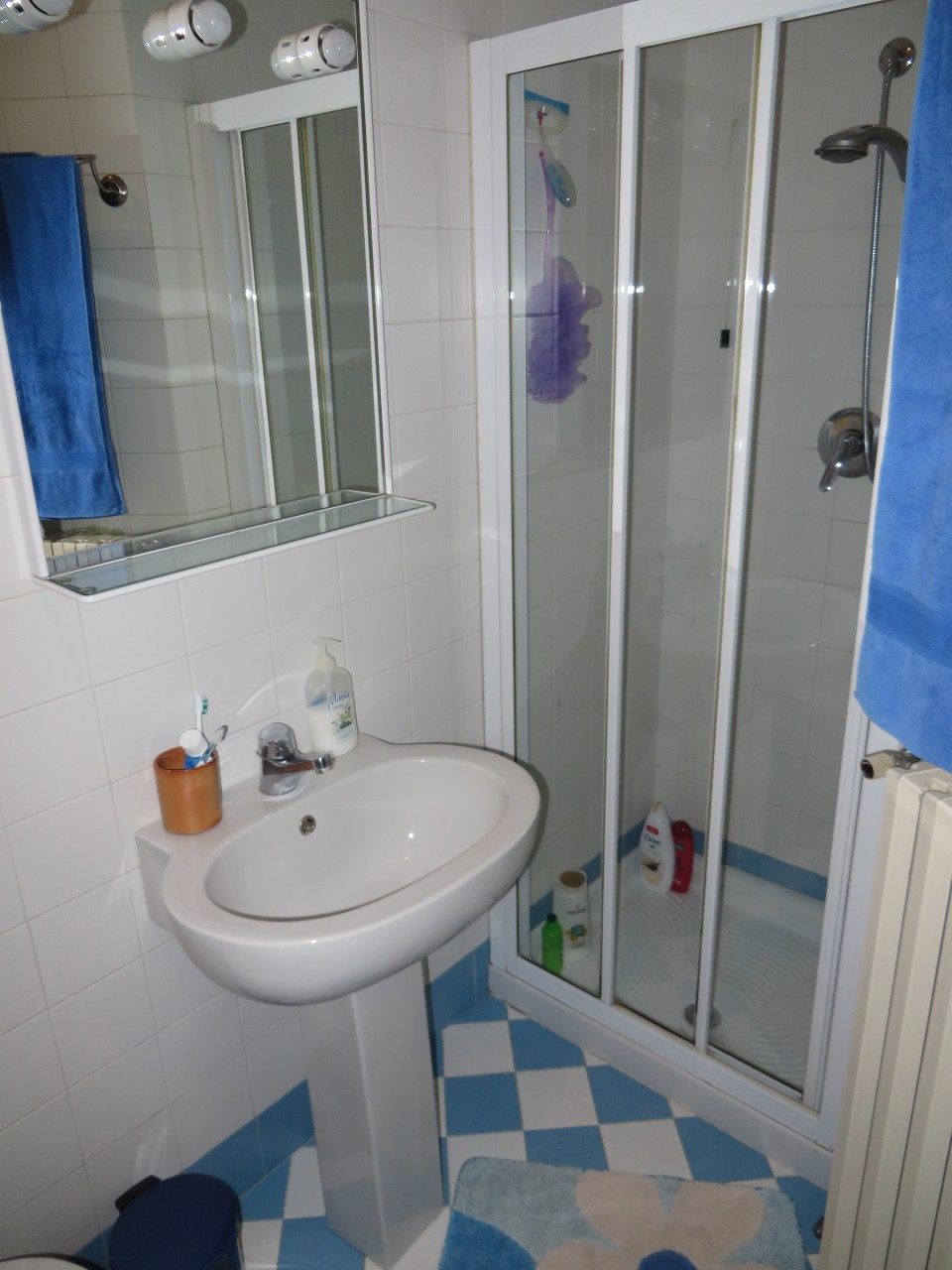 foto_zancop_5