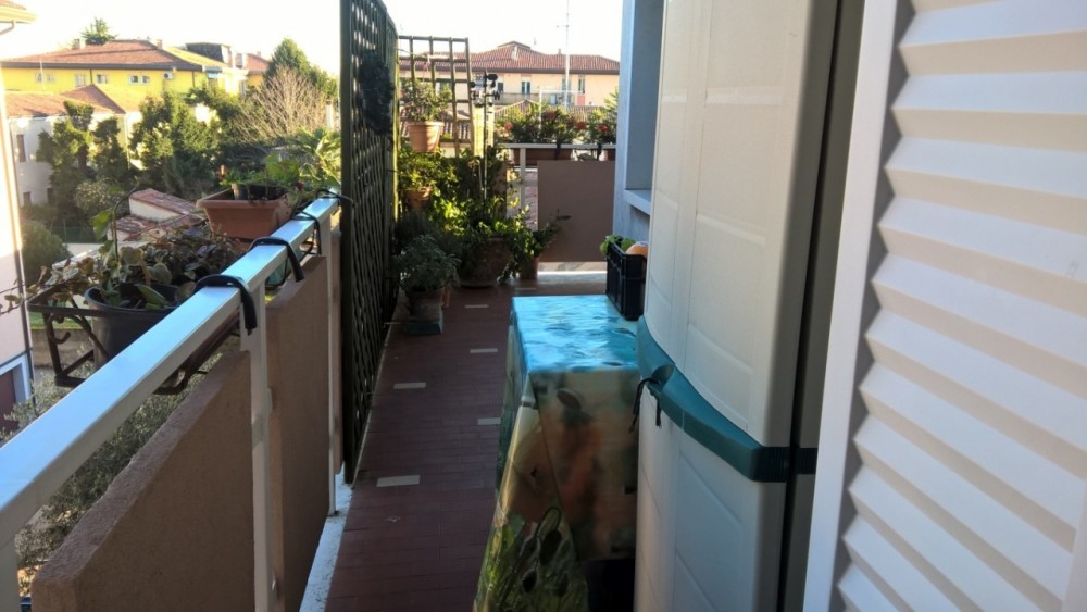 wp_20161221_15_00_11_pro_fileminimizer