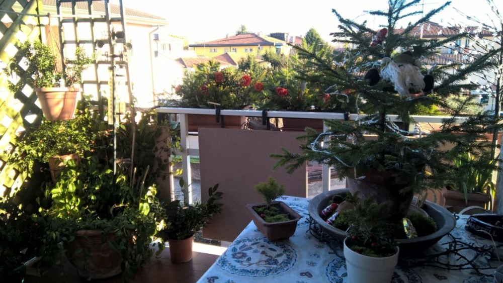 wp_20161221_15_02_30_pro_fileminimizer