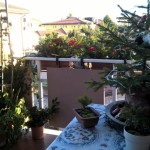 wp_20161221_15_02_30_pro_fileminimizer