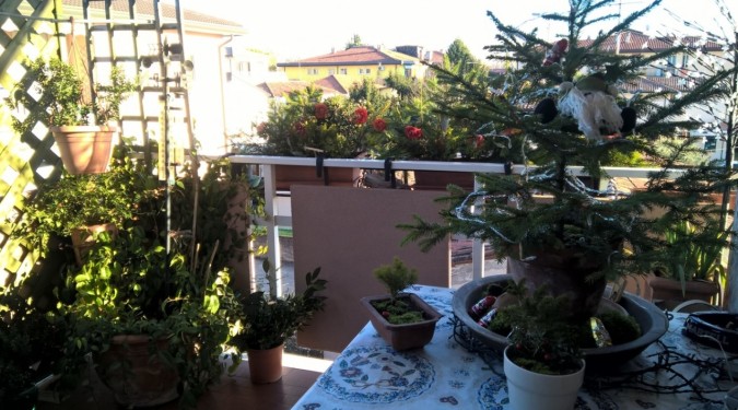 wp_20161221_15_02_30_pro_fileminimizer