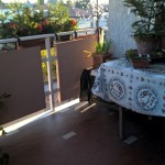 wp_20161221_15_04_11_pro_fileminimizer