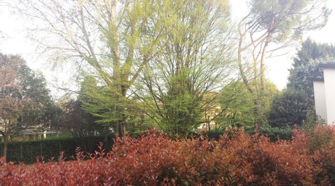 000__20170330_184658