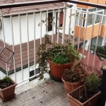 013__20170228_121000