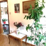 026__marchiori04