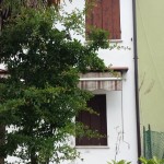 999__20170519_115135