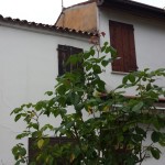 999__20170519_115242