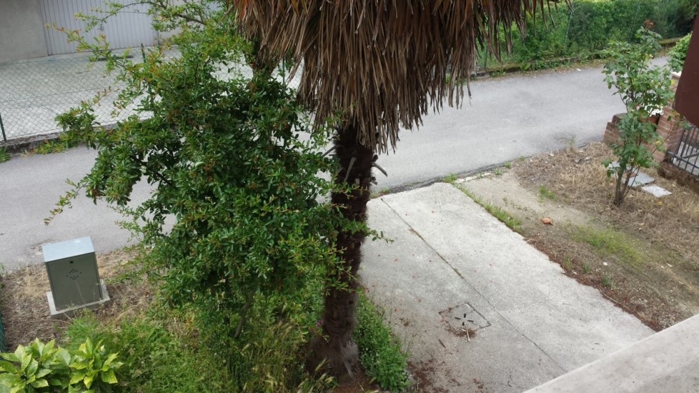 999__20170519_121236