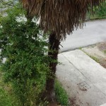 999__20170519_121236