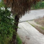 999__20170519_121255