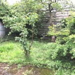 999__img_0286