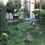 003__inkedinkedimg_0339_li