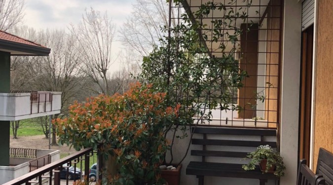 000__img-20180324-wa0004