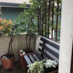 001__img-20180324-wa0005