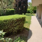 000__20190619_132743