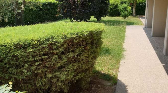 000__20190619_132743