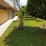 013__20190619_132747