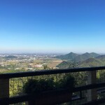 010__img_2867